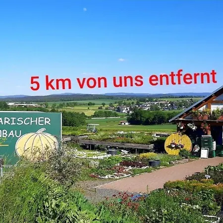 Blick * Mylau